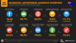 Facebook audience overview