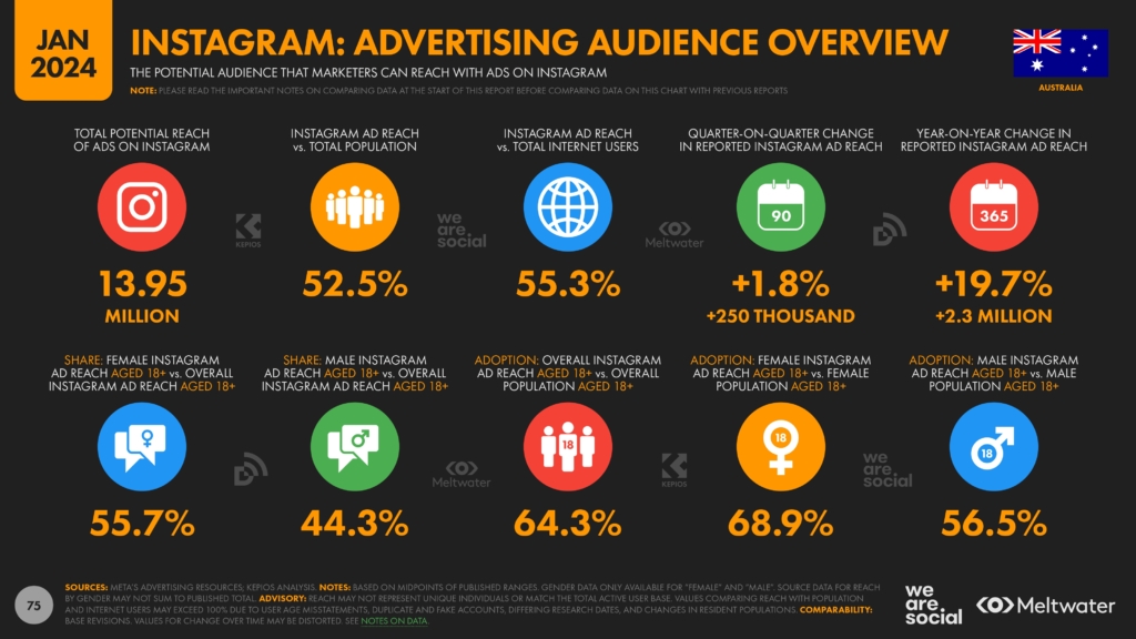 Instagram audience overview